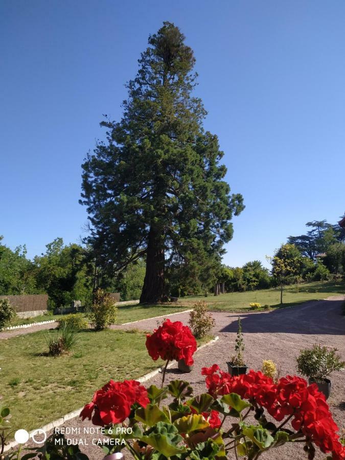 Hotel Le Manoir Sequoia Airvault Esterno foto